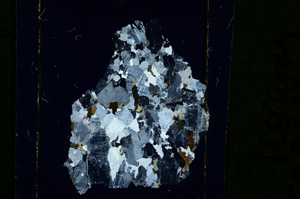 Cross Polarized, ED2447