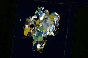 Cross Polarized, ED2448