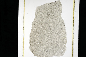 Plane Polarized, ED2536