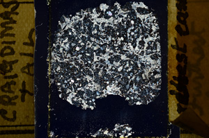 Cross Polarized, ED2657