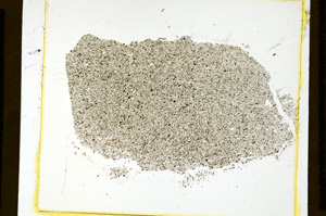 Plane Polarized, ED2774