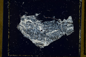 Cross Polarized, ED2778