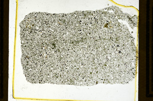 Plane Polarized, ED2789