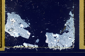 Cross Polarized, ED2791