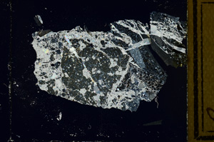 Cross Polarized, ED2799