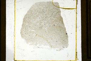 Plane Polarized, ED2812