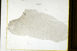 Plane Polarized, ED2817