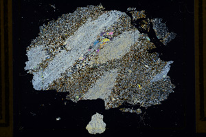 Cross Polarized, ED2886