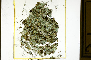 Plane Polarized, ED2896