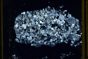 Cross Polarized, ED2906