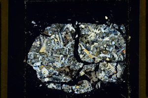 Cross Polarized, ED2930