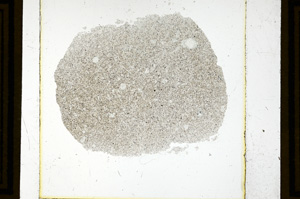 Plane Polarized, ED2939