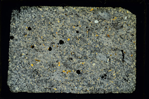 Cross Polarized, ED3001