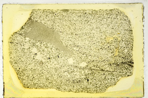 Plane Polarized, ED3005