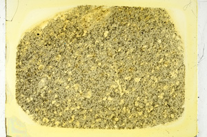 Plane Polarized, ED3014