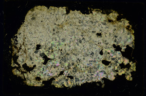 Cross Polarized, ED3018