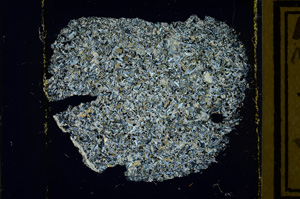 Cross Polarized, ED3038