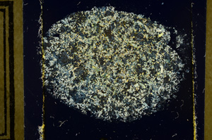 Cross Polarized, ED3047