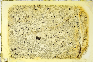 Plane Polarized, ED3053