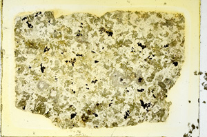 Plane Polarized, ED3061