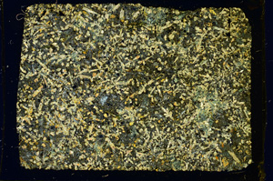 Cross Polarized, ED3064