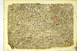 Plane Polarized, ED3065