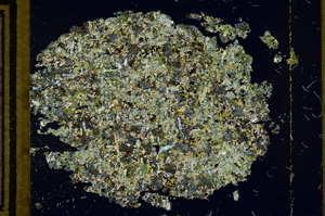 Cross Polarized, ED3073