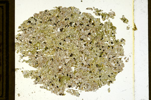 Plane Polarized, ED3073