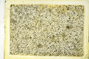 Plane Polarized, ED3076