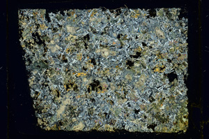 Cross Polarized, ED3084