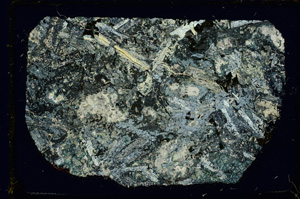 Cross Polarized, ED3088