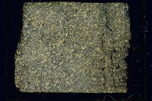 Cross Polarized, ED3095