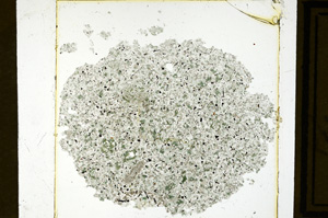 Plane Polarized, ED3101