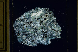 Cross Polarized, ED3107