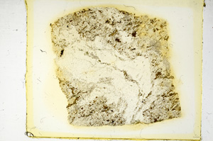 Plane Polarized, ED3115