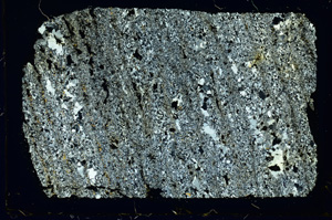 Cross Polarized, ED3117