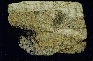 Cross Polarized, ED3118