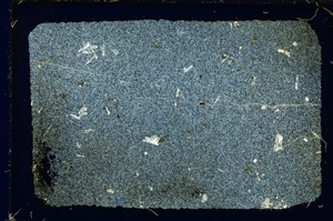 Cross Polarized, ED3128