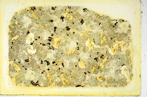 Plane Polarized, ED3133