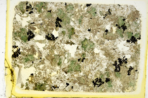 Plane Polarized, ED3141