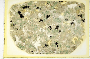 Plane Polarized, ED3151