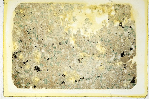 Plane Polarized, ED3158