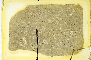 Plane Polarized, ED3202