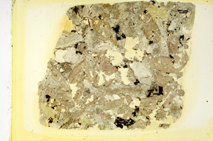 Plane Polarized, ED3221