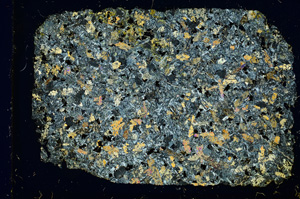 Cross Polarized, ED3238