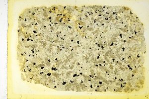 Plane Polarized, ED3238