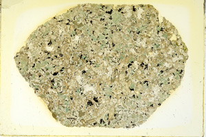 Plane Polarized, ED3252