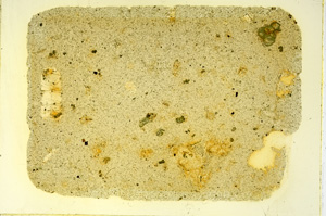 Plane Polarized, ED3278