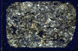 Cross Polarized, ED3300