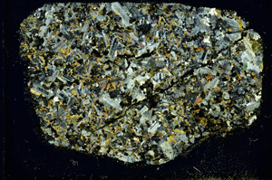 Cross Polarized, ED3310